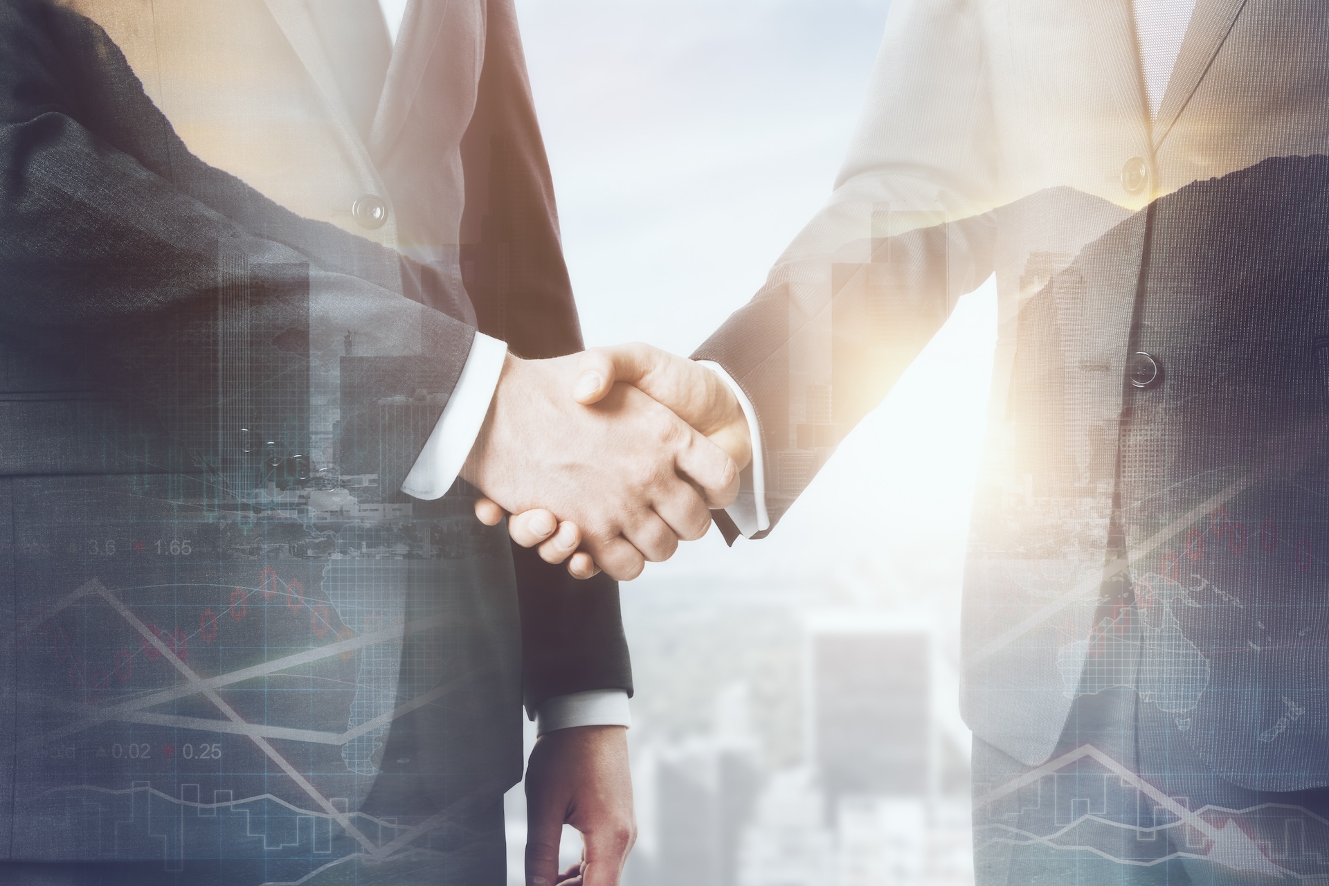 Crisis Decision-Making Through Case-Based Peer Learning